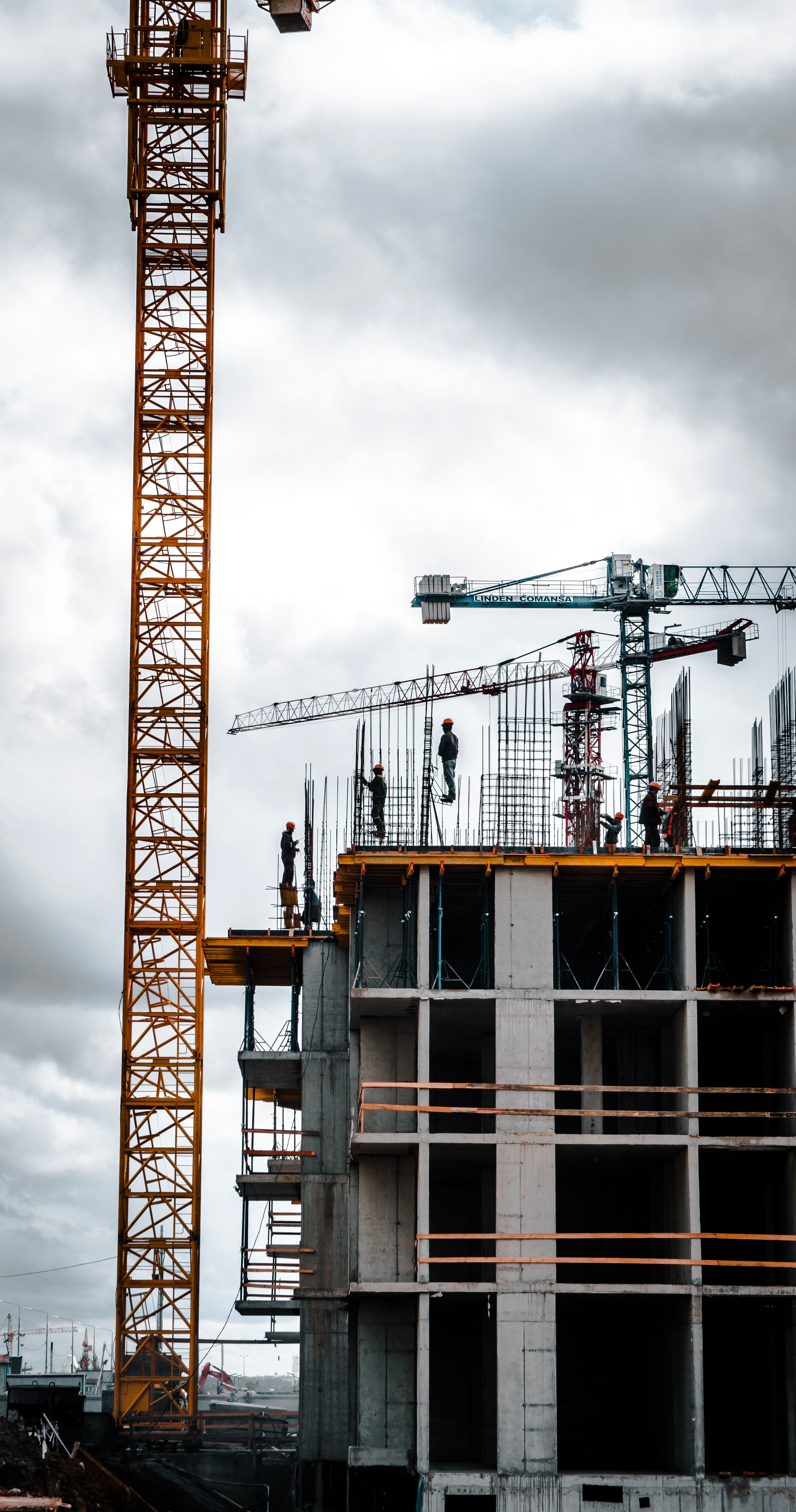 Project management and coordination services